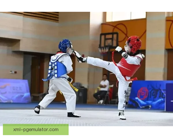 跆拳道比赛中的技巧与策略优劣比拼