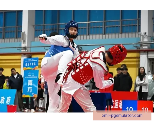 跆拳道积分榜：掌握榜首动向，绽放激情拼搏